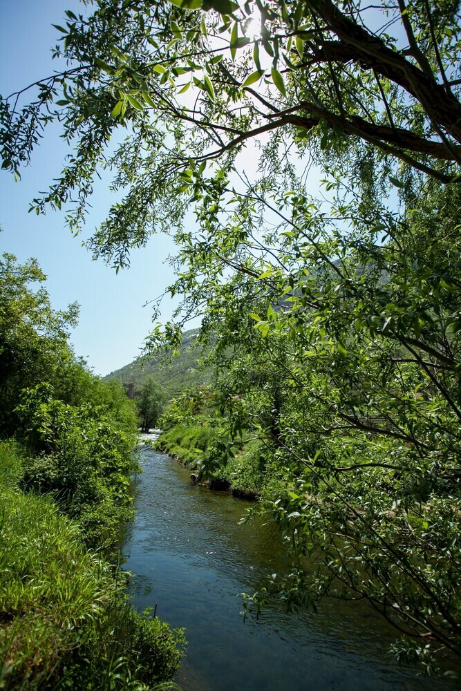House Next To The River Miro