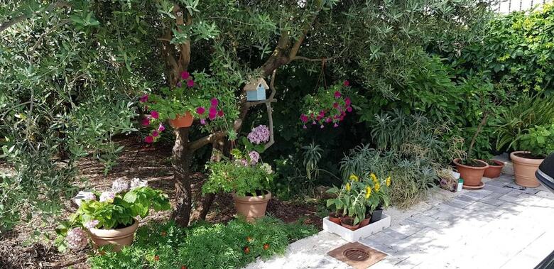 Apartamentos Salsa Brac