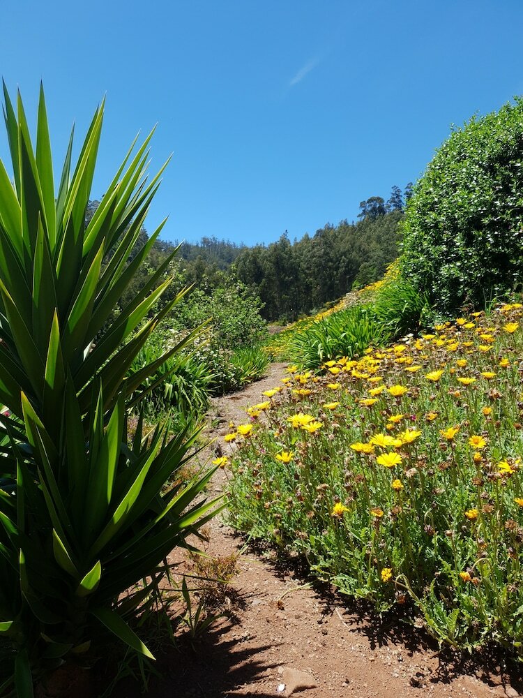 Agroturismo Cantinho Rural Camacha