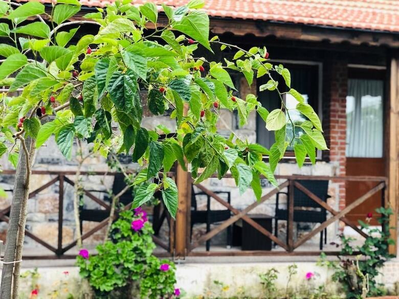 Bed & Breakfast Salk?m Sahil Evi