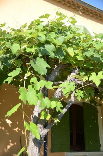 Bed & Breakfast Mas De Bacalan