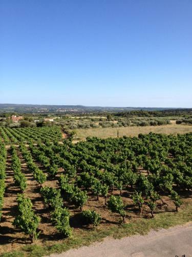 Bed & Breakfast Ch�teau De Valloubi�re