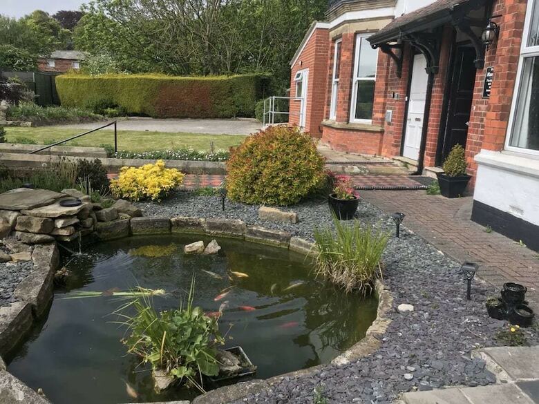 Hotel Manor View Guest House