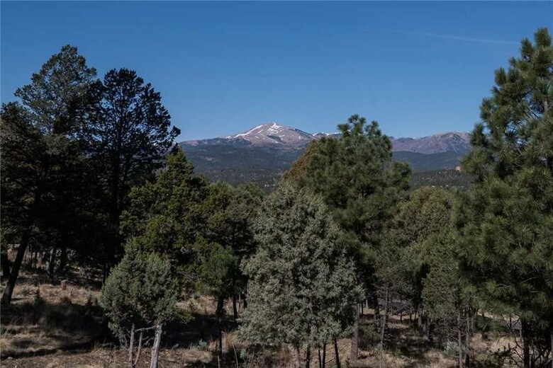 Altitude Adjustment - Three Bedroom Cabin