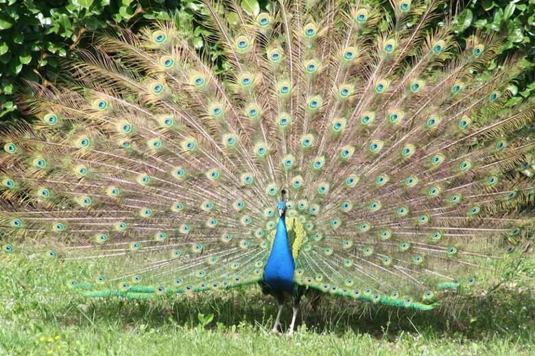 Bed & Breakfast Evergreen Corbara
