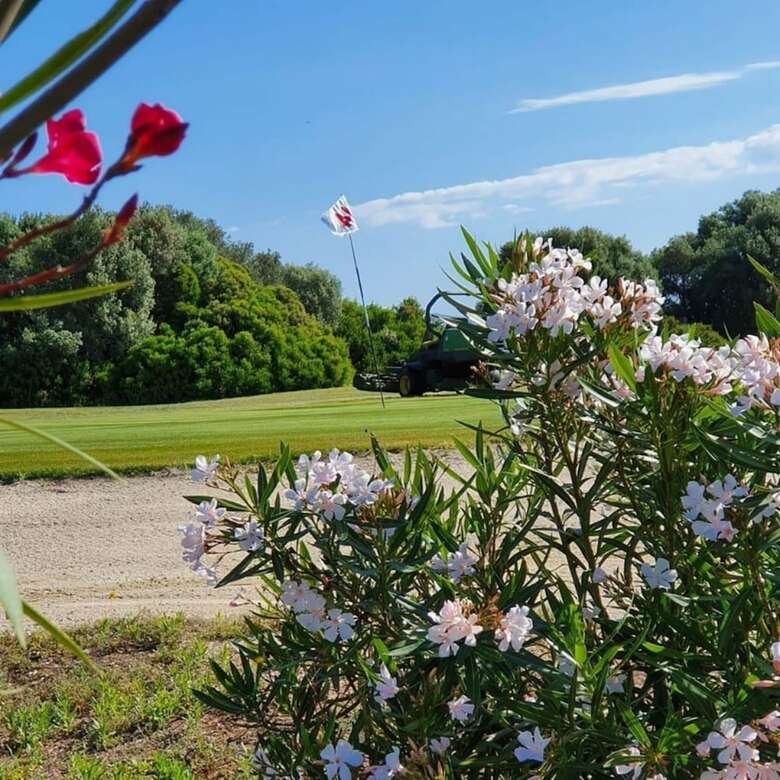 Hotel Botanic Golf Sacuba & Resort