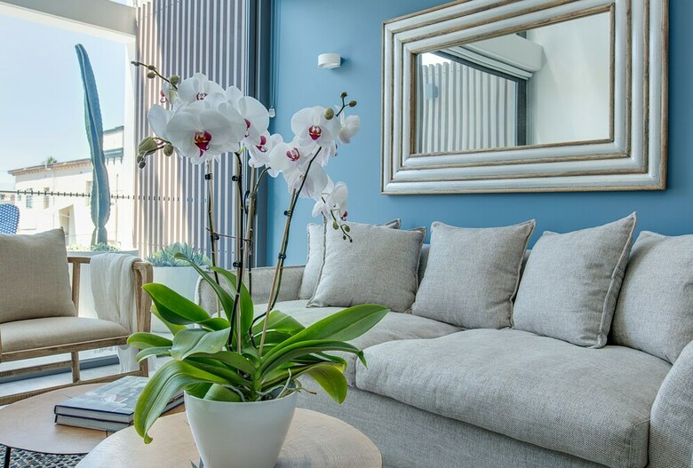 Coogee Luxury Apartments