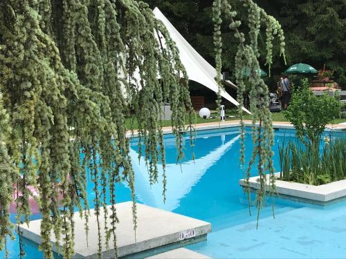 Hotel H�tel Les Rochers