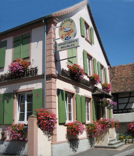 Hotel H�tel Restaurant Au Cygne