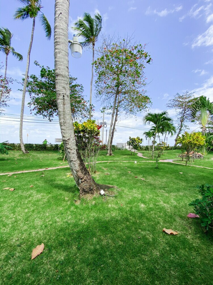 Apartamentos Playa Marina