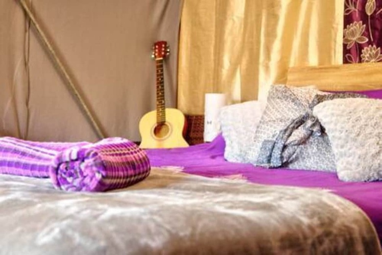 Fern Lodge - Campsite