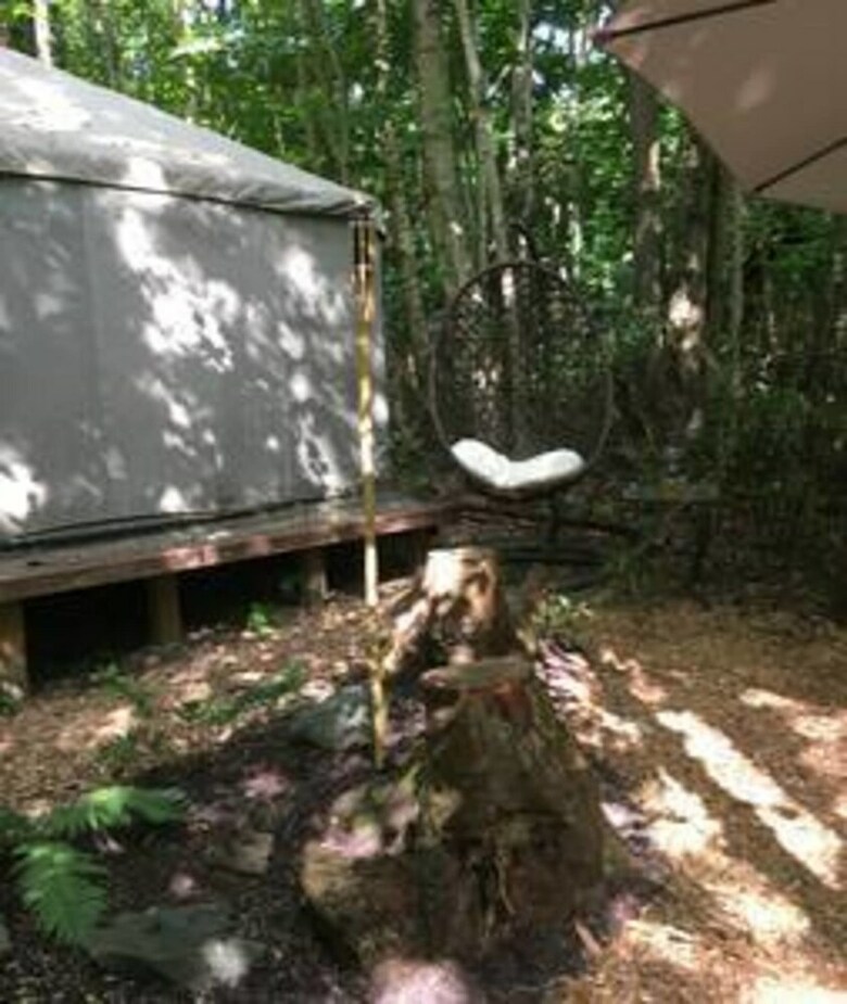 Fern Lodge - Campsite