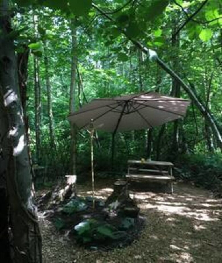 Fern Lodge - Campsite
