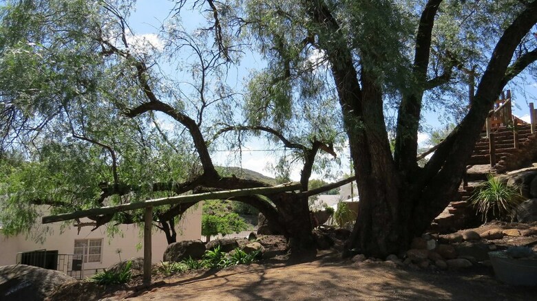 Hotel Karoo-koppie Guesthouse
