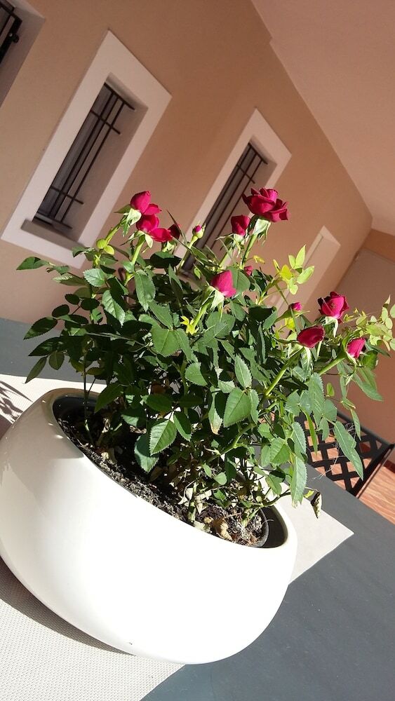 B&B Cascina San Martino