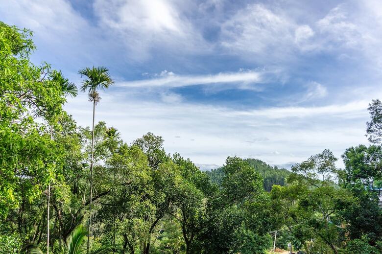 Hotel Samadhi Nature Resort Ella