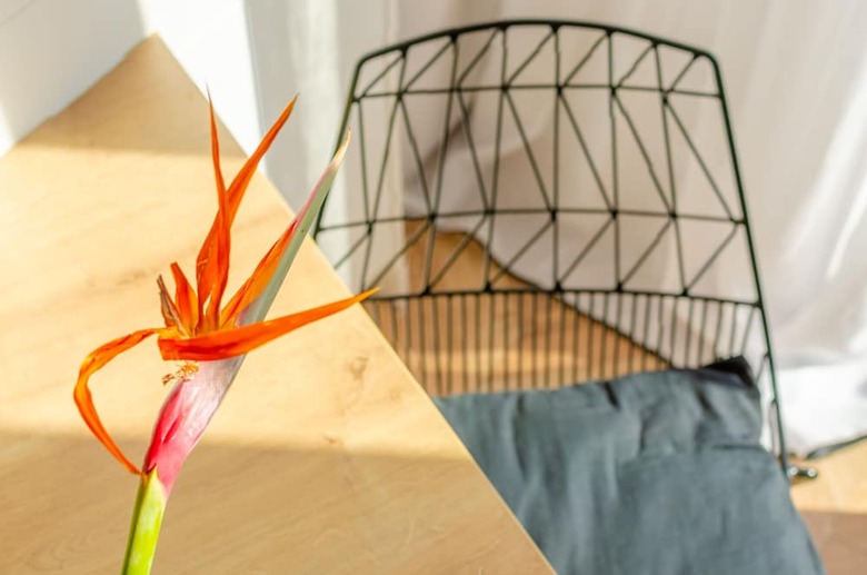 Chandakos 8 Design Apartments