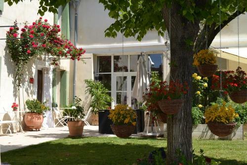 Bed & Breakfast Lacanepi�re