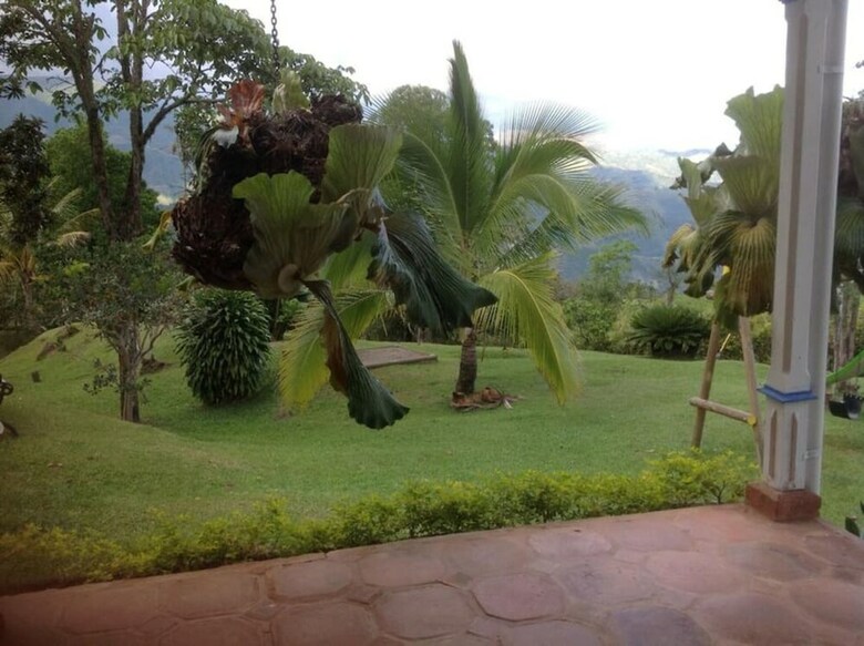 Finca Caja De Oro Fredonia