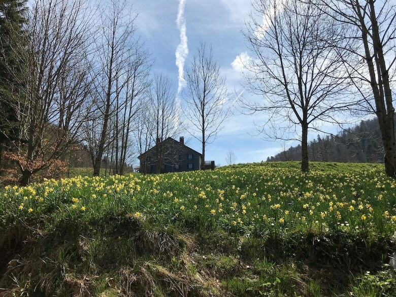 Les Authentics - La Ferme Des D�lices