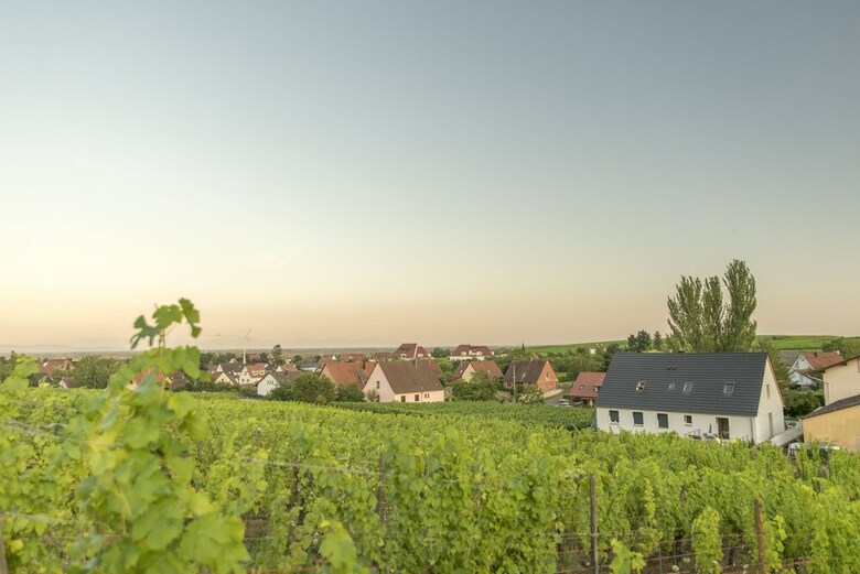 Apartamento Aux Pieds Des Vignes - Studio - 4 Pers