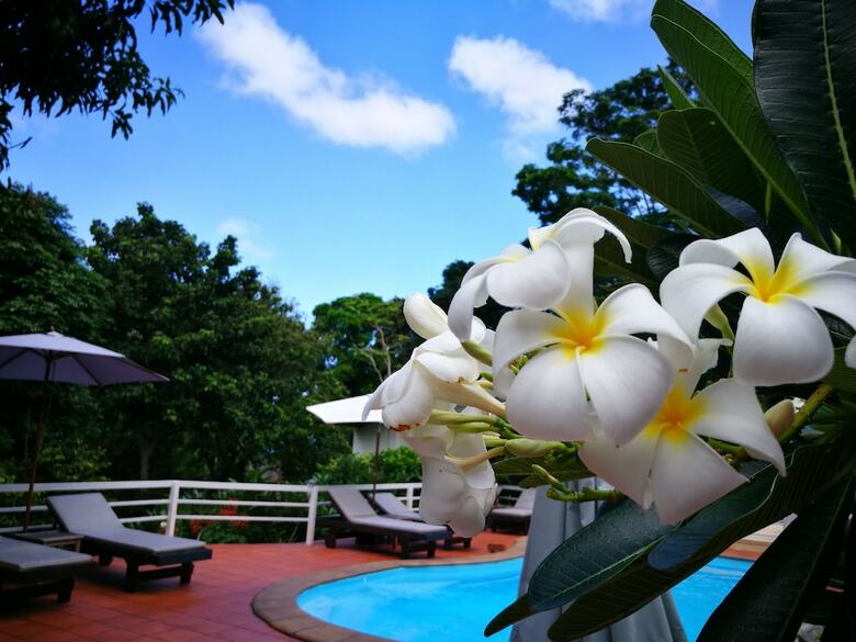 Hotel On The Hill Karon Resort