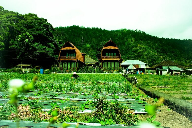 Villa Kedisan Lake View By Atharva Bali