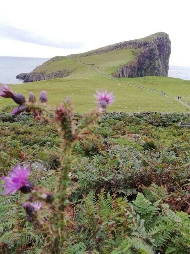 Bird Song Bothy