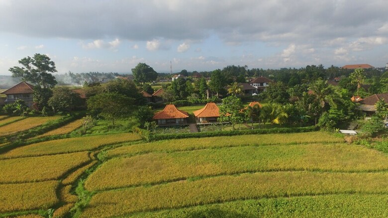 Griya Kcb Villa Ubud
