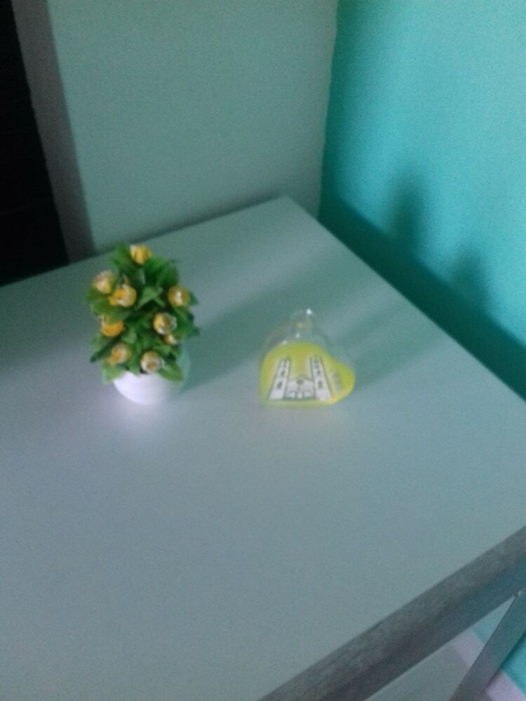 Apartmani Mozaici