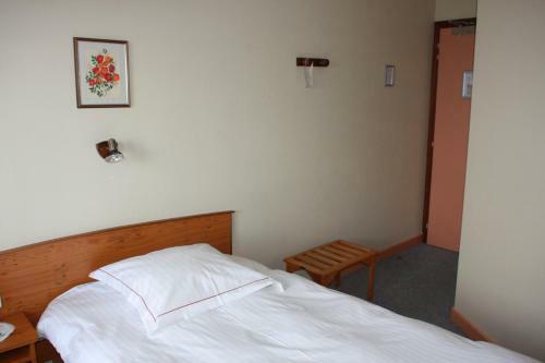 Hotel H�tel Roess
