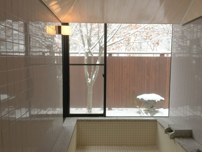 Ica Fujimi House