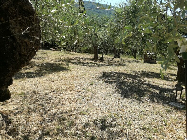 B&B L'agrifoglio
