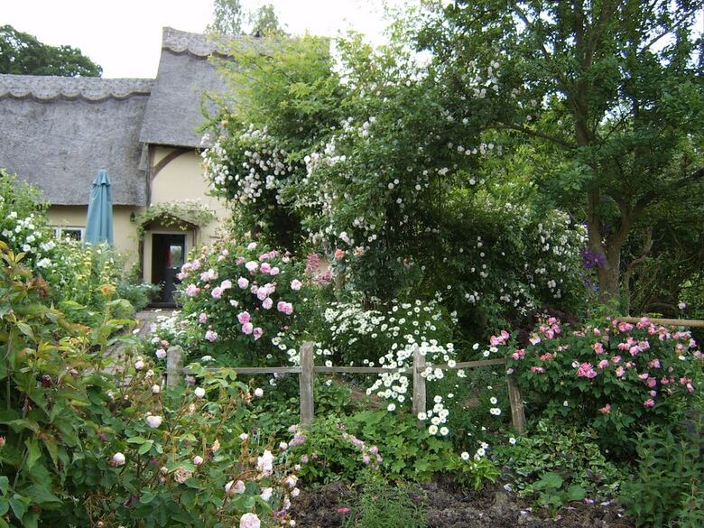 Thatched Cottage B&B
