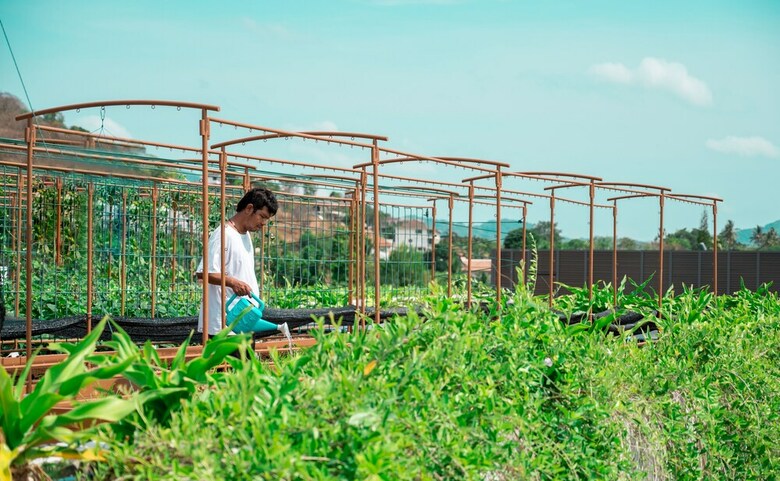 Hotel Stay Wellbeing & Lifestyle Resort
