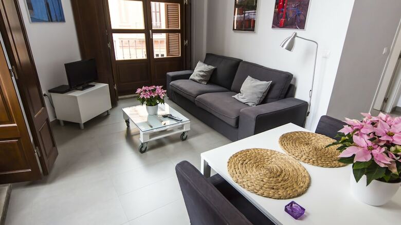 Apartamentos M�laga Picasso