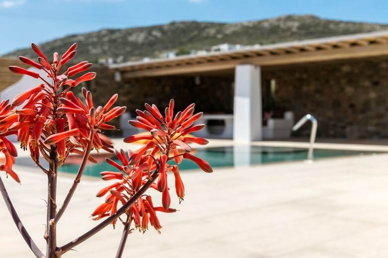 Ag Mykonos Villas