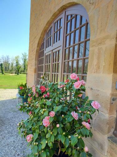 Bed & Breakfast Ch�teau De La Venerie