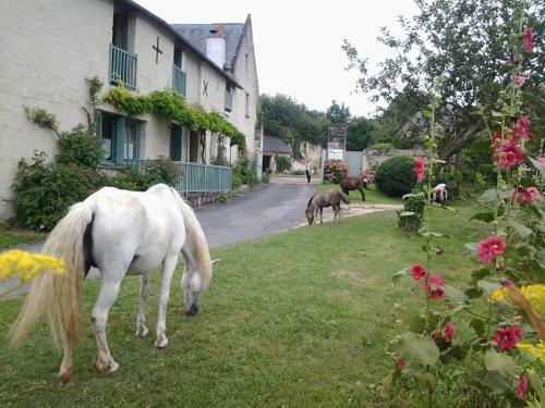 Bed & Breakfast Le Noisillet