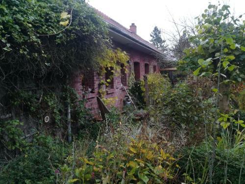 Bed & Breakfast Pantgat Hof