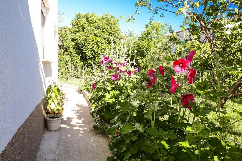 Apartments Konta