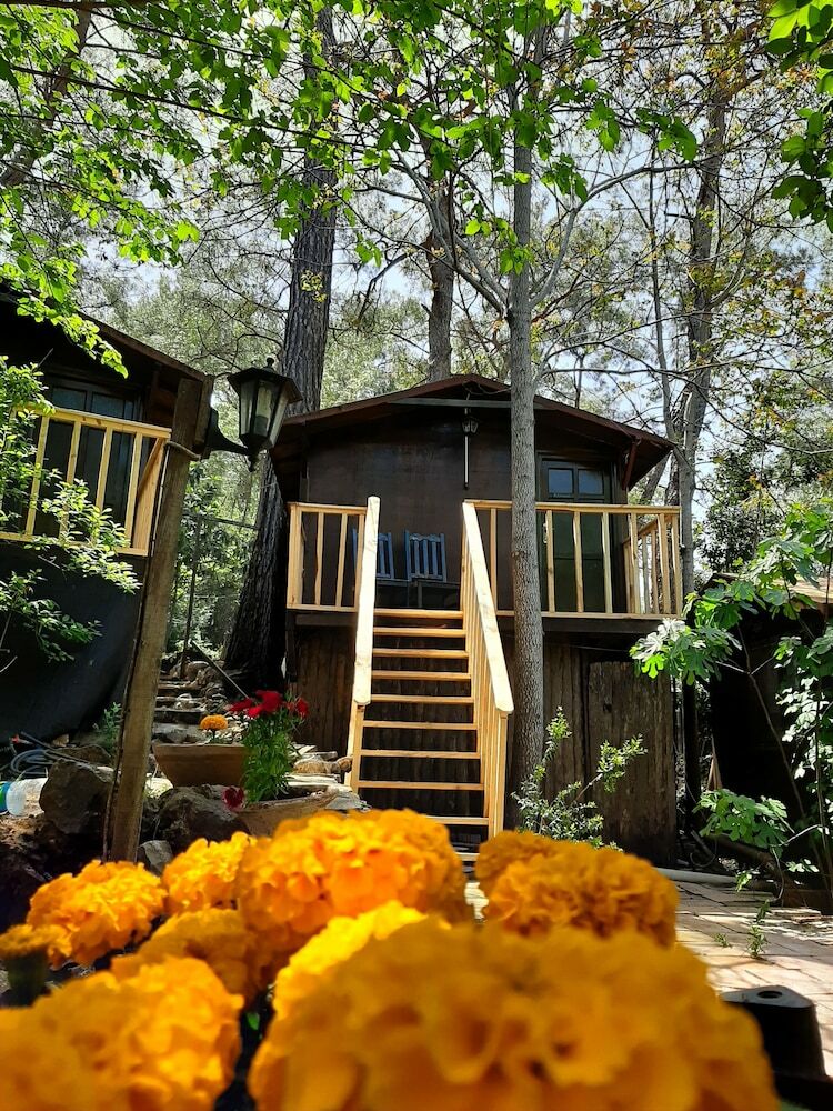 Hotel Altaris Bungalows Olympos