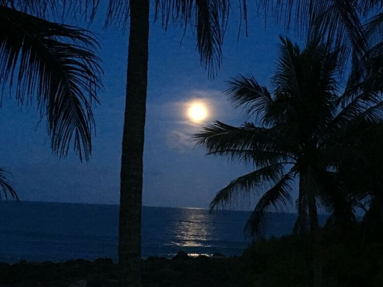 Bed & Breakfast Coconut Beach Homestay