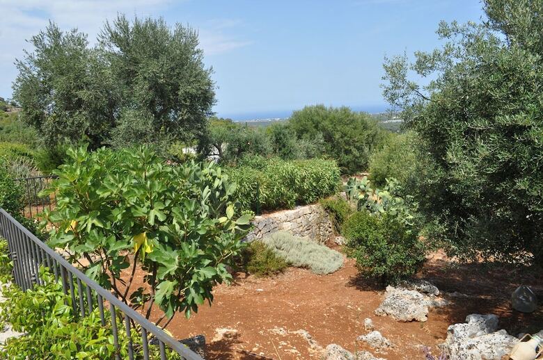 Guest House B&B Pietra Bianca