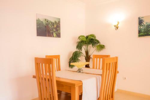 B37 - Comfort Apartment In Lagos By Dreamalgarve