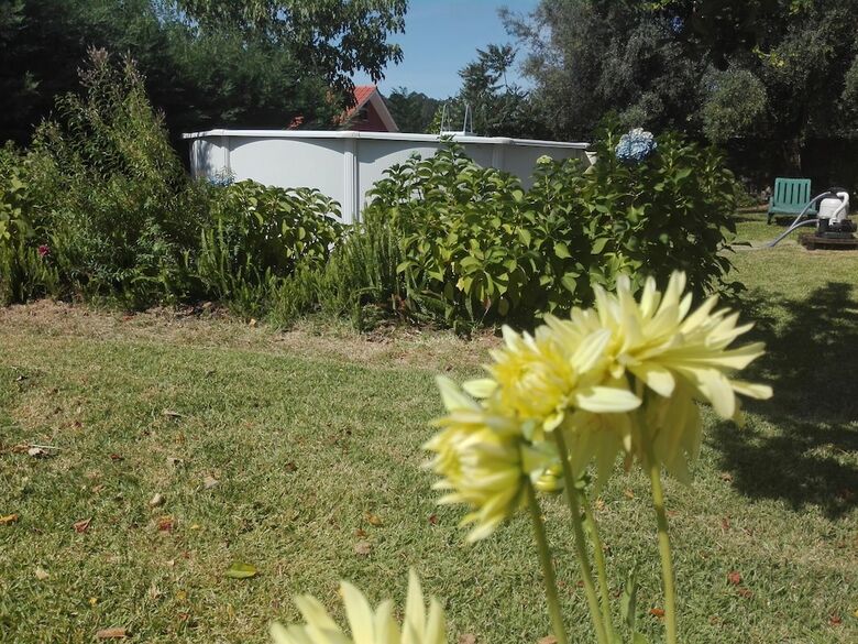 Quinta Eido Oliveira