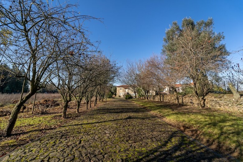 Quinta Eido Oliveira