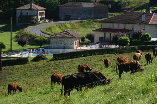 Hotel Le Ranfort