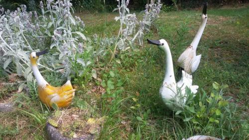 Bed & Breakfast Roulotte Zelena Hora