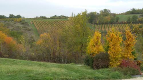 Hostal Les Hauts D'albas